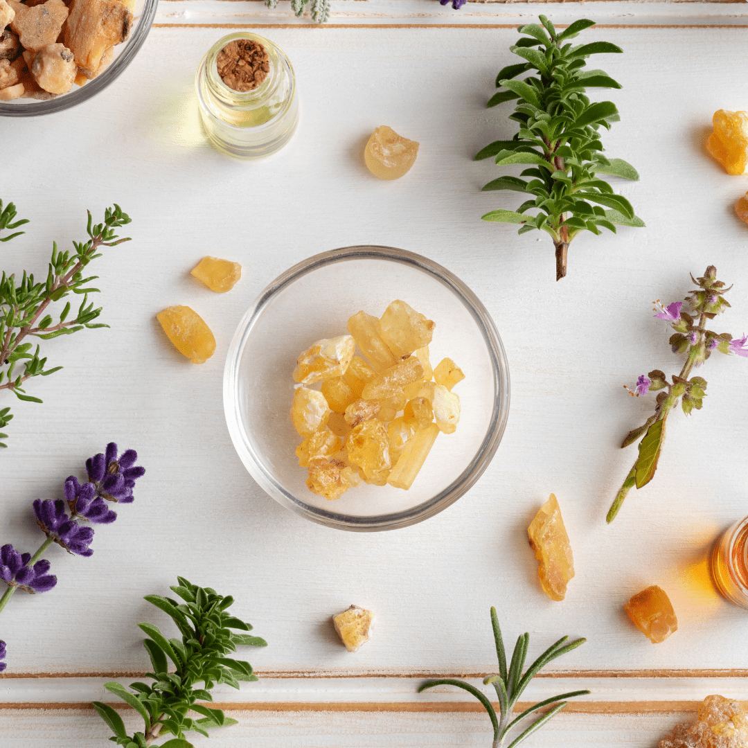 اللبان الحوجري (مضغ ونقع)