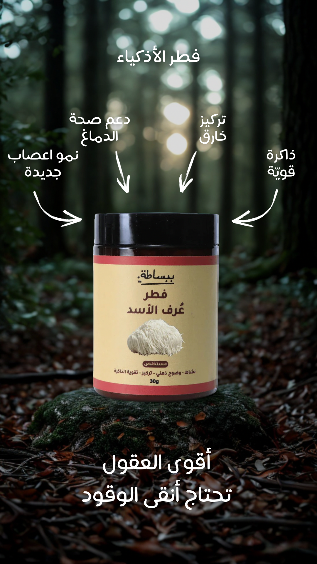 فطر عرف الأسد