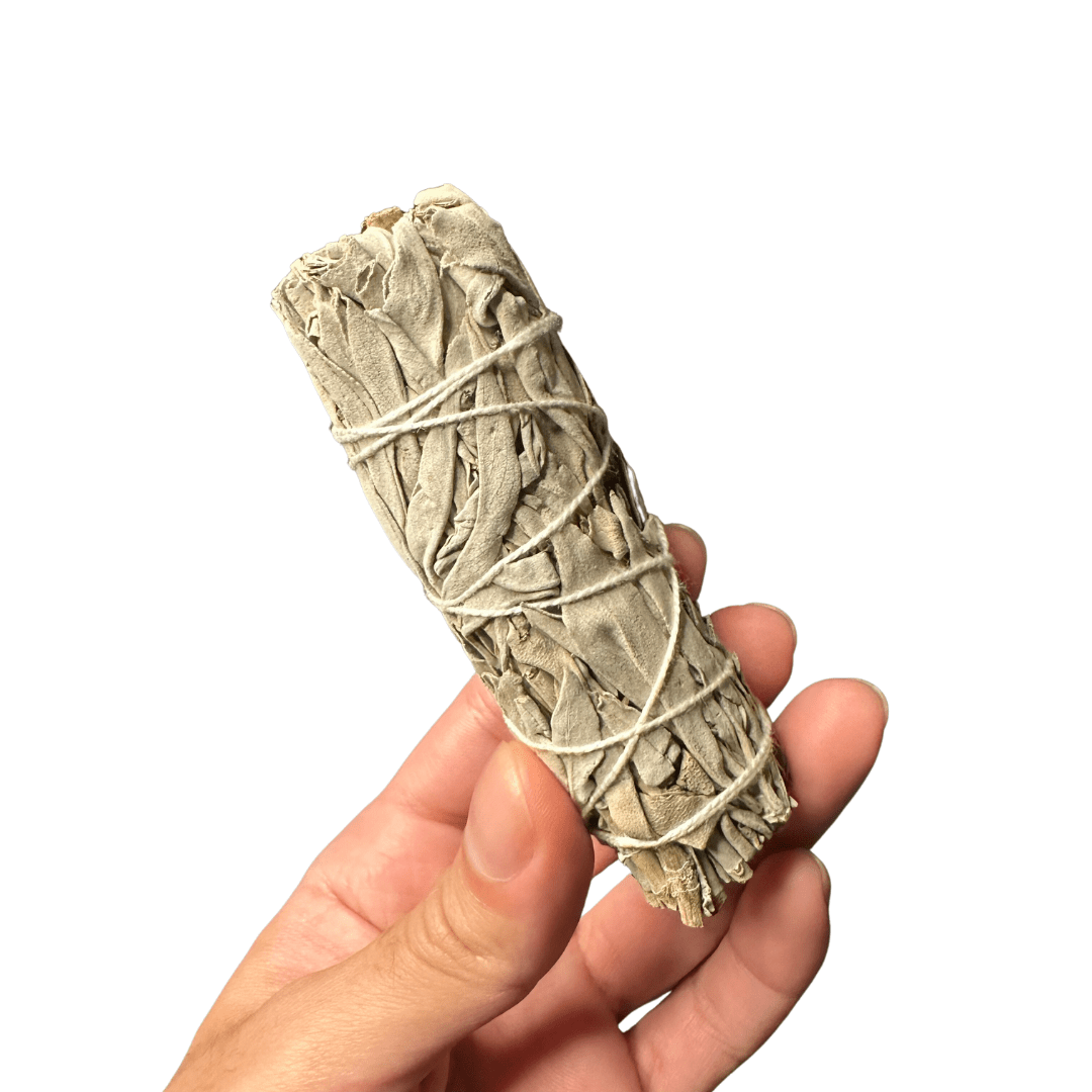 White Sage Smudge (Pack of 2)
