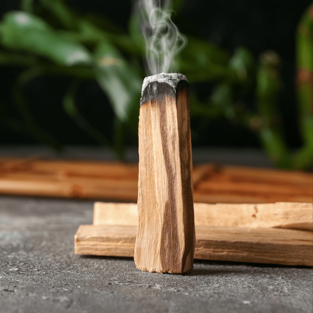 Palo Santo Sticks (Pack of 3)